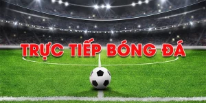 trực tiếp bóng đá